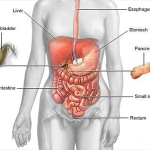 Relief From Ibs Constipation - Effective Treatments For Irritable Bowel Syndrome