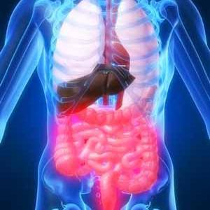 Ibs Bloating Constipation - Detox May Alleviate Your IBS